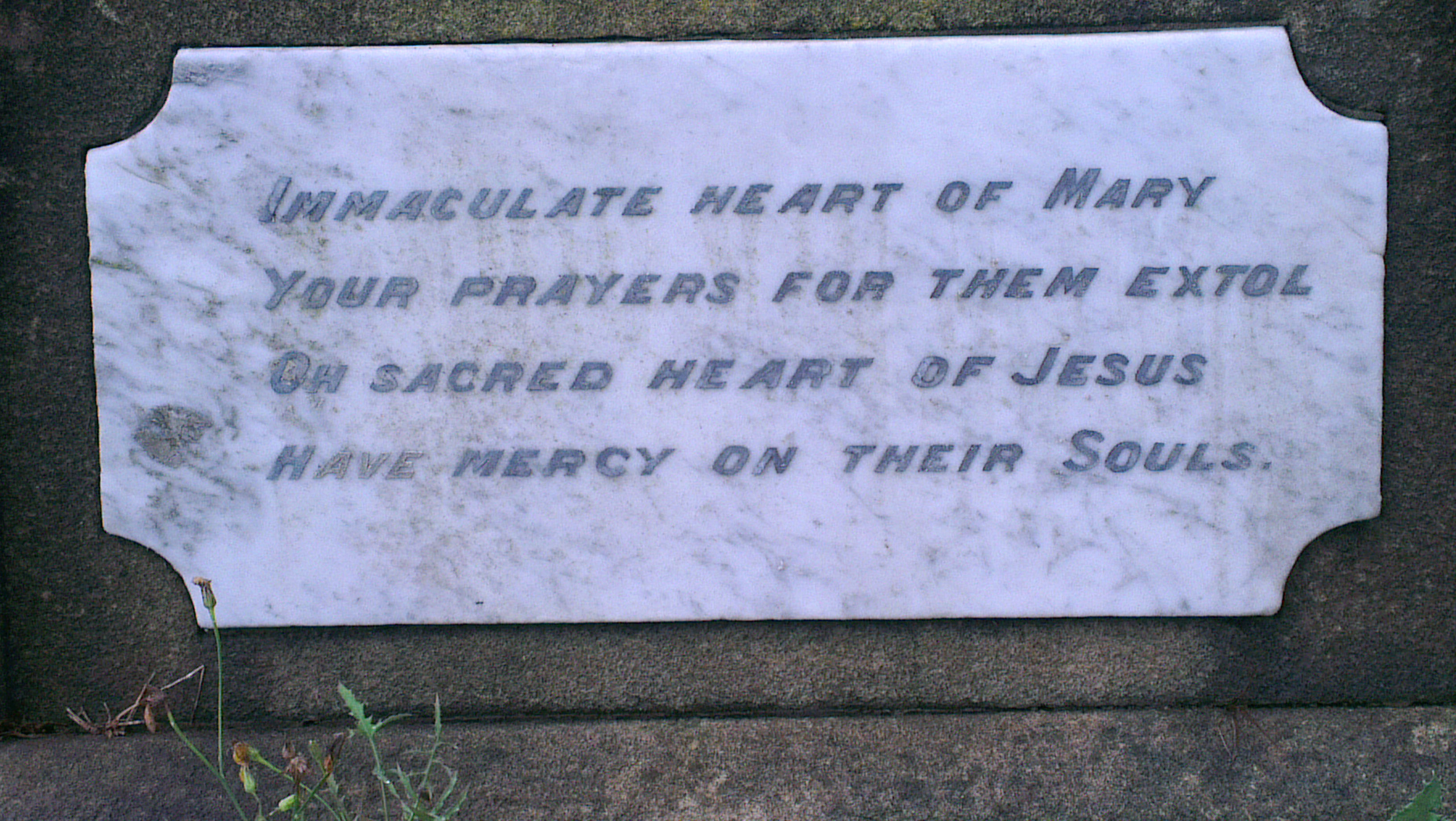 Photo of headstones/John McLennan d 1898 hdstn lower Waverley Syd